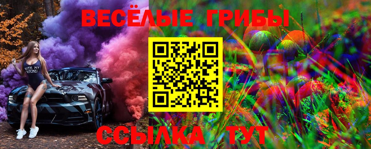 Артём  Псилоцибиновые грибы мицелий  Галлюциногенные грибы Magic Shrooms  Вход с VPN 