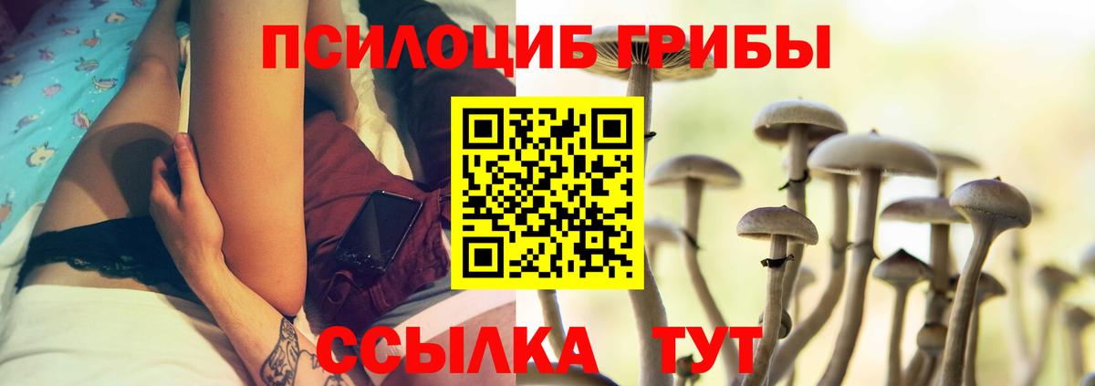 Галлюциногенные грибы Psilocybine cubensis Артём
